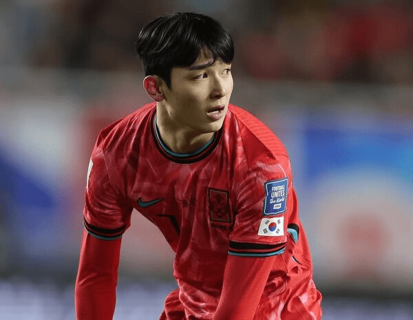 양민혁 관련 보도 이미지